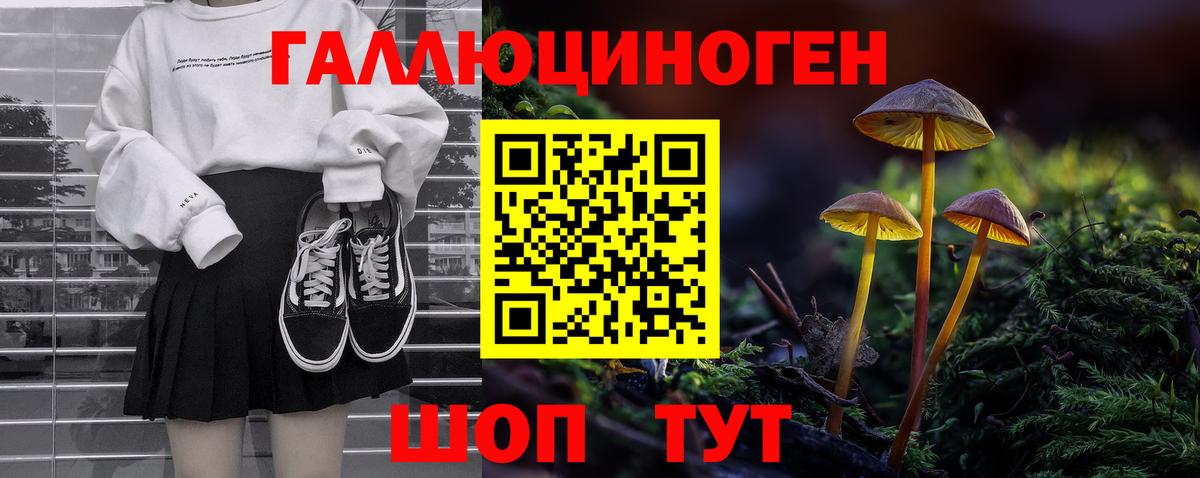 Псилоцибиновые грибы прущие грибы  Вход с VPN  Южноуральск 